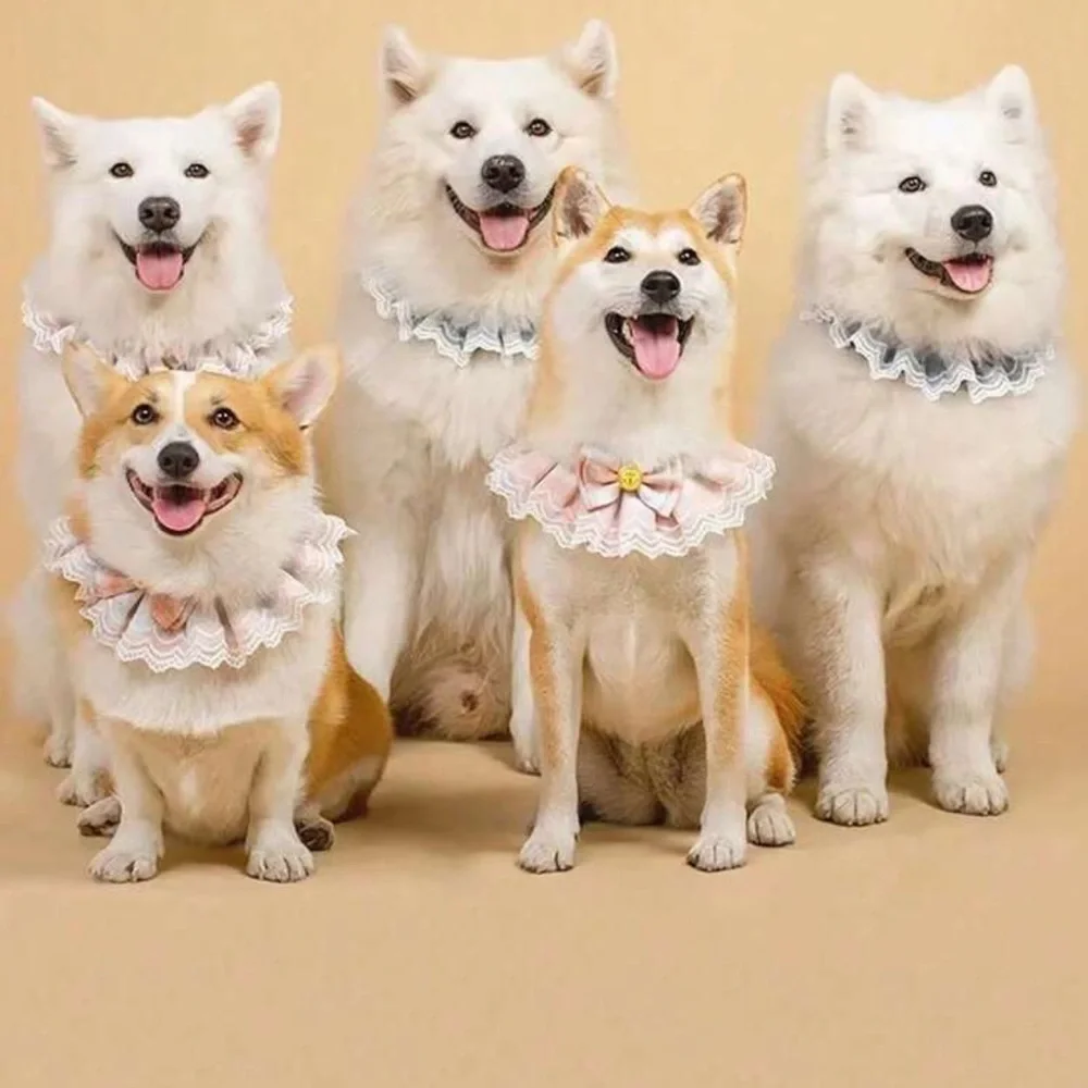 Cute Bow Lace Edged Collar for dog / cat
